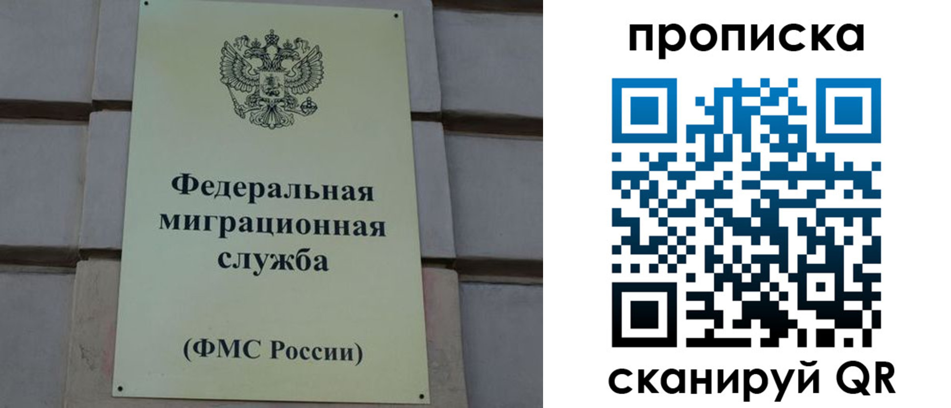 прописка поиск в Сергиевом Посаде